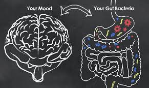 The Link Between Gut Health and Mental Health